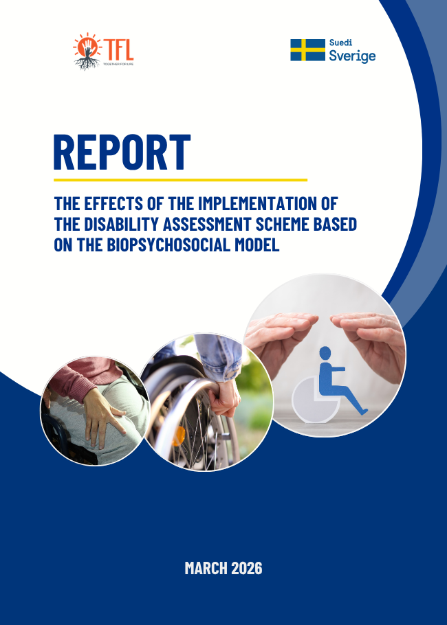 REPORT ON THE EFFECTS OF THE IMPLEMENTATION OF THE DISABILITY ASSESSMENT SCHEME BASED ON THE BIOPSYCHOSOCIAL MODEL